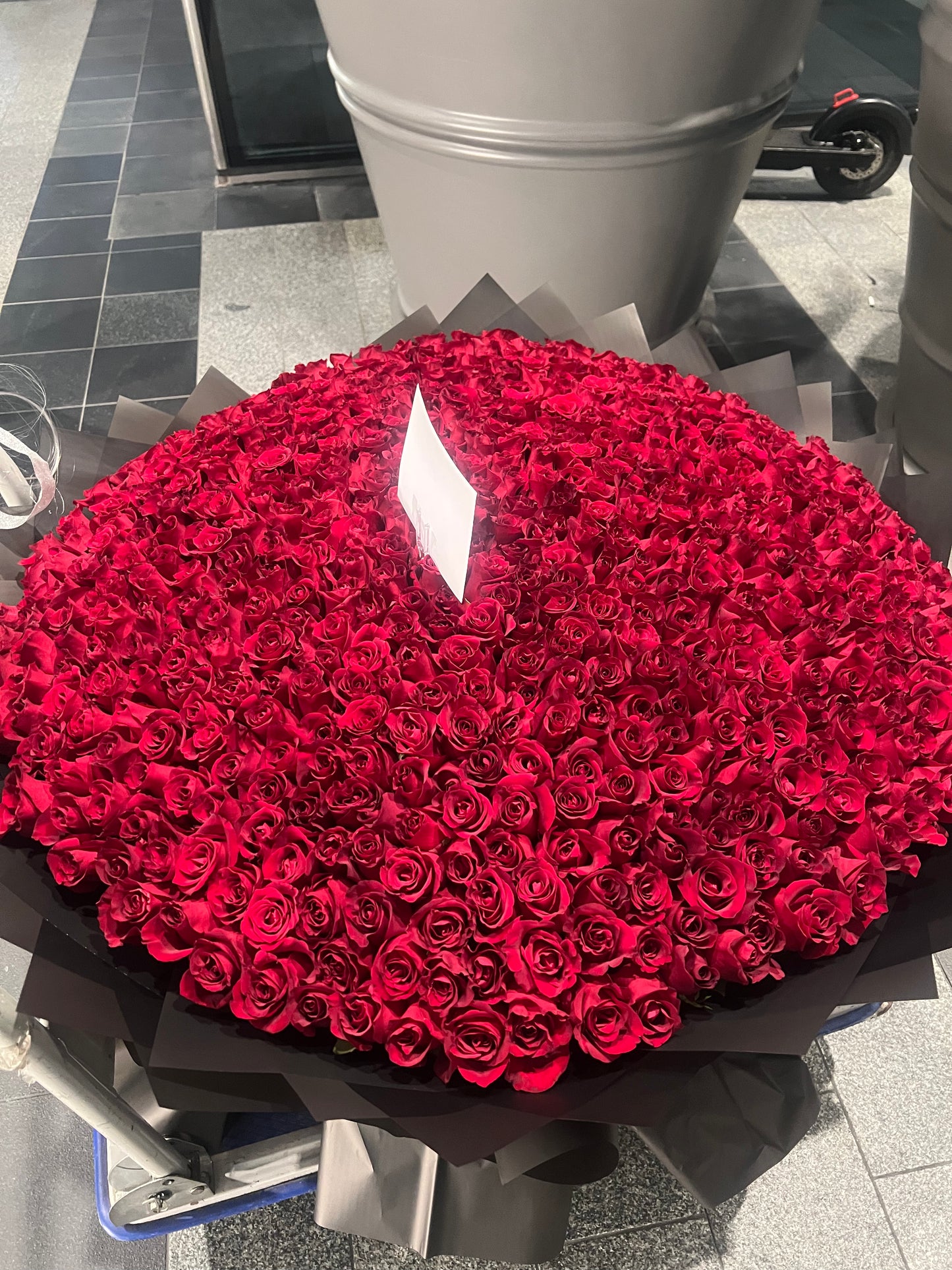 500 Red Roses Elegance