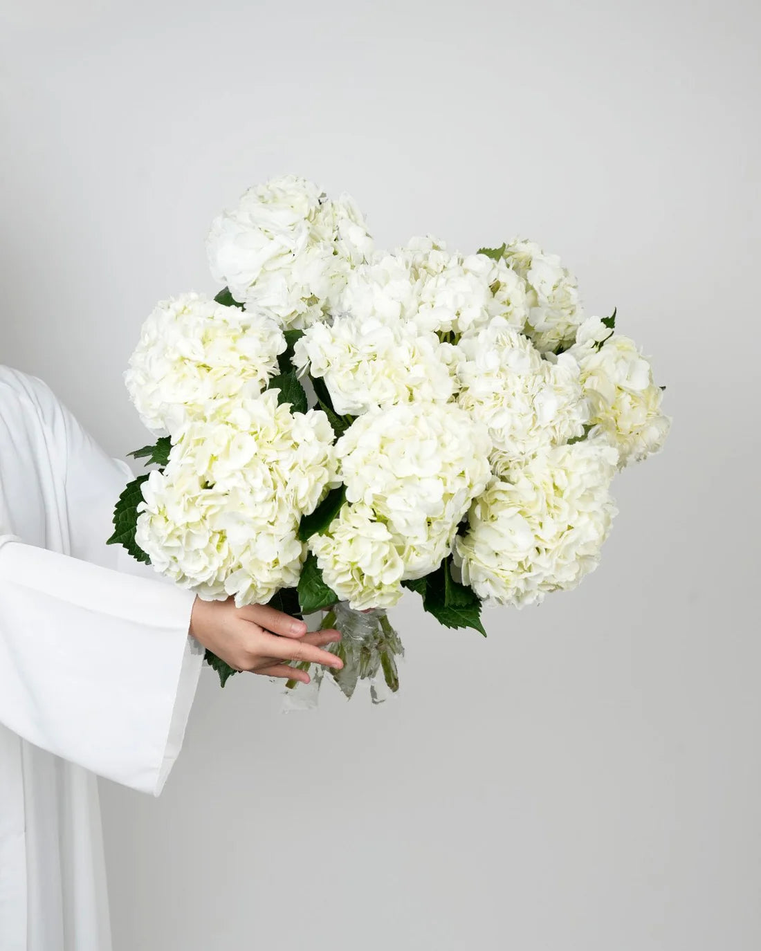 5 Stem White Hydrangeas