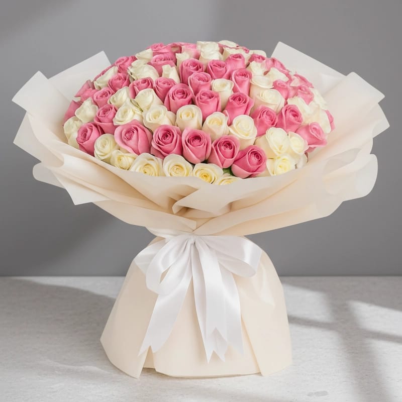 100 White & Pink Roses