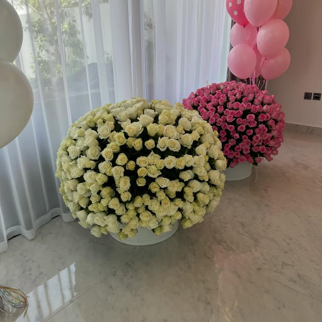 500 Roses Box