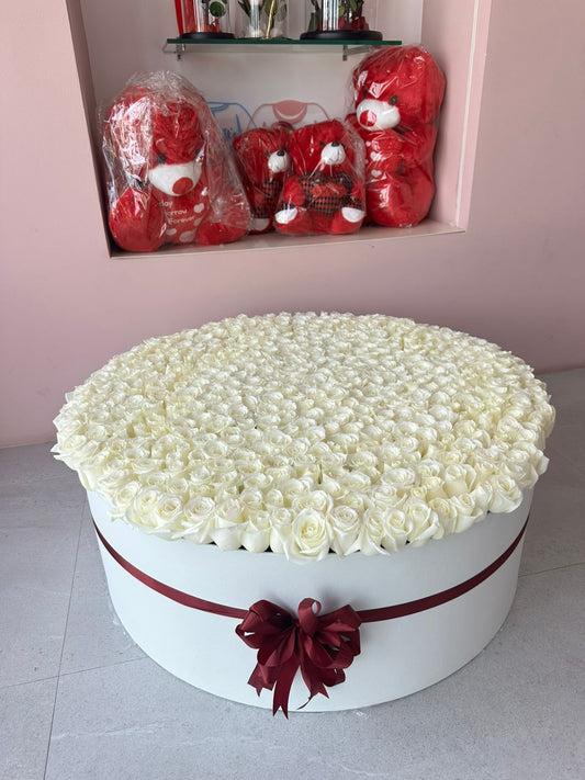 500 White Roses Box