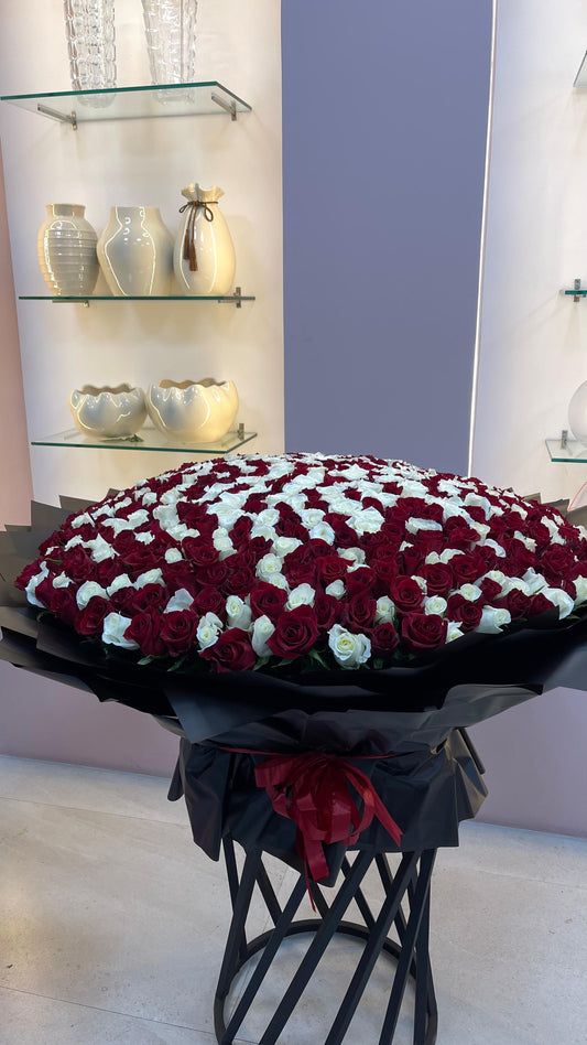 500 White and Red Roses