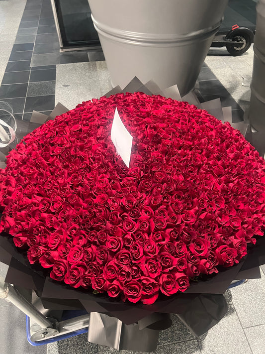 500 Red Roses Elegance