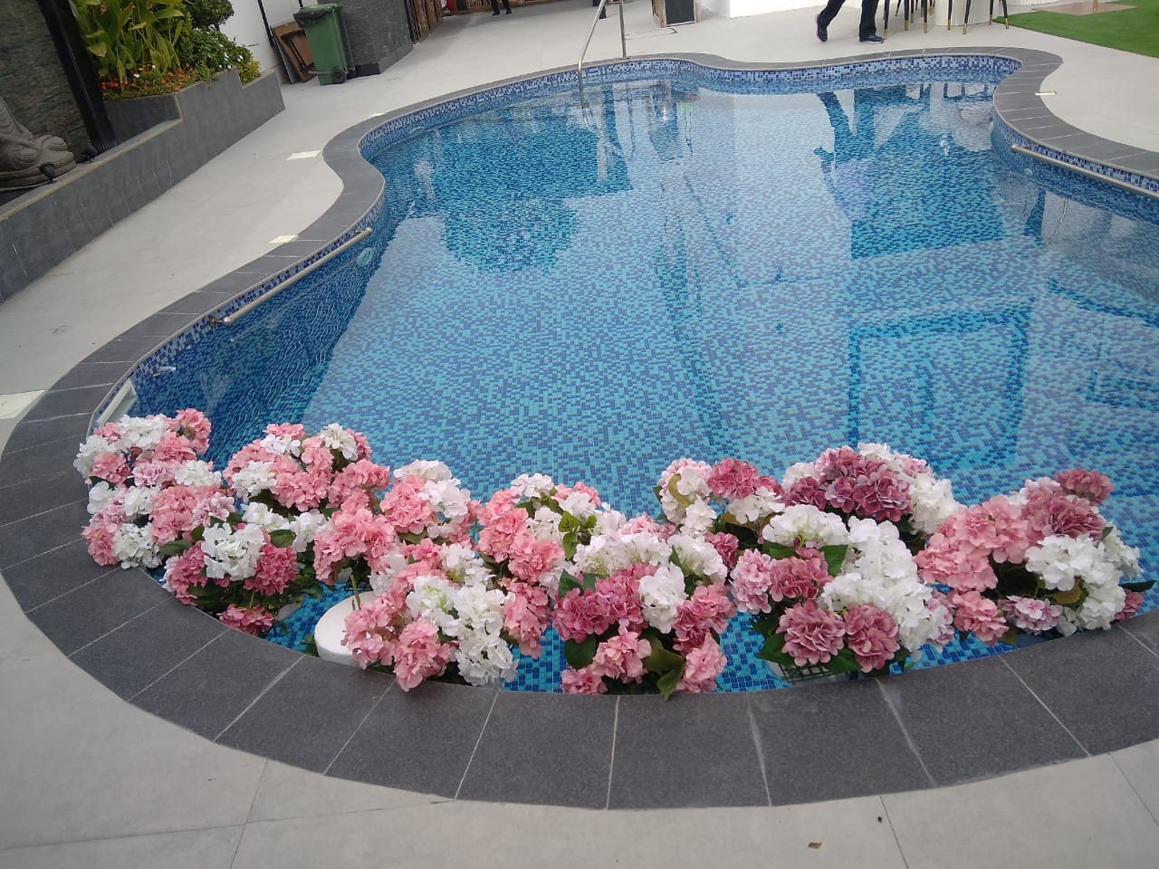 Decore & Design